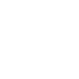 Premier Party Rentals Footer Logo
